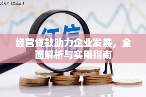 鄂伦春经营贷款助力企业发展，全面解析与实用指南
