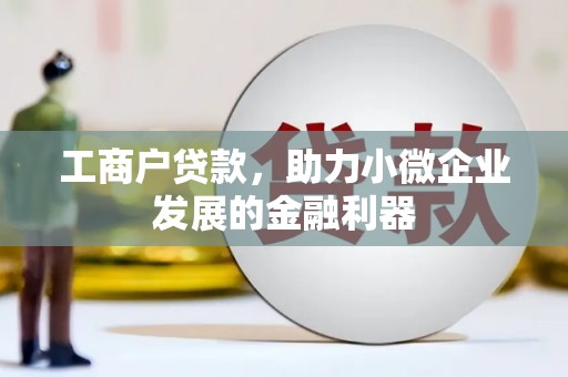 鄂伦春工商户贷款，助力小微企业发展的金融利器