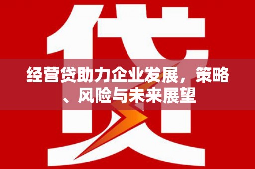 鄂伦春经营贷助力企业发展，策略、风险与未来展望