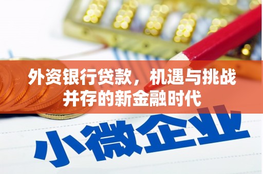 鄂伦春外资银行贷款，机遇与挑战并存的新金融时代