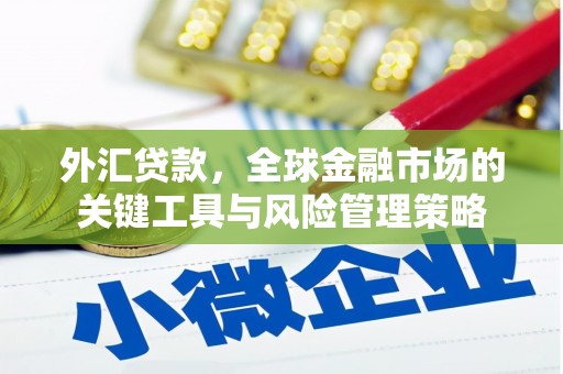 鄂伦春外汇贷款，全球金融市场的关键工具与风险管理策略
