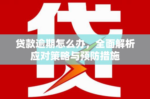 鄂伦春贷款逾期怎么办，全面解析应对策略与预防措施