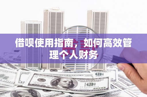 鄂伦春借呗使用指南，如何高效管理个人财务