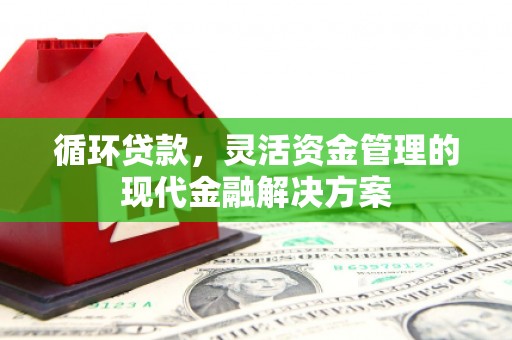 鄂伦春循环贷款，灵活资金管理的现代金融解决方案