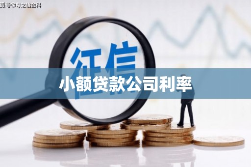 鄂伦春小额贷款公司利率