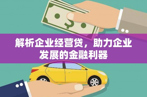 鄂伦春解析企业经营贷，助力企业发展的金融利器