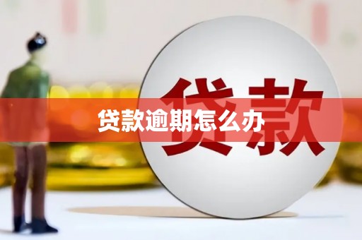 鄂伦春贷款逾期怎么办