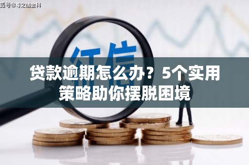 鄂伦春贷款逾期怎么办？5个实用策略助你摆脱困境
