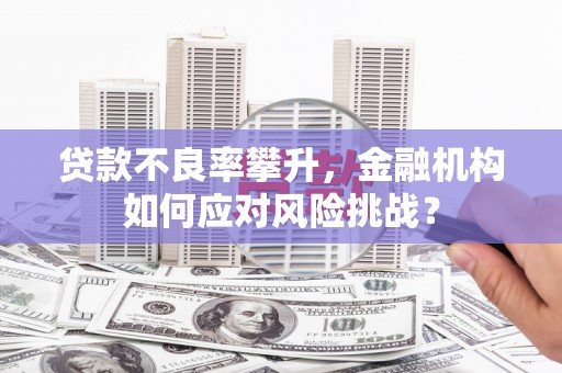 鄂伦春贷款不良率攀升，金融机构如何应对风险挑战？