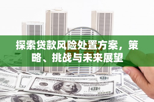 鄂伦春探索贷款风险处置方案，策略、挑战与未来展望