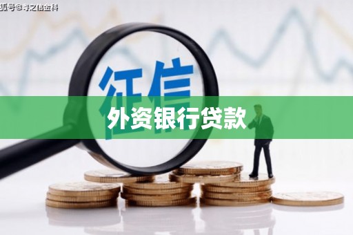 鄂伦春外资银行贷款