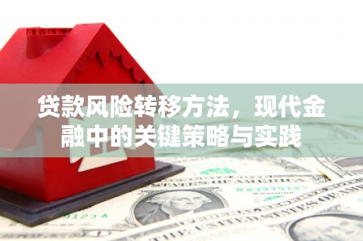 鄂伦春贷款风险转移方法，现代金融中的关键策略与实践