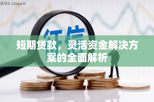 鄂伦春短期贷款，灵活资金解决方案的全面解析