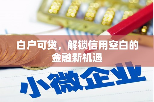 鄂伦春白户可贷，解锁信用空白的金融新机遇