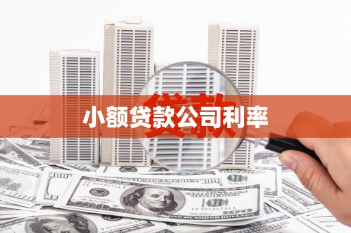 鄂伦春小额贷款公司利率