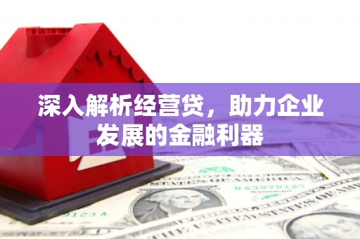 鄂伦春深入解析经营贷，助力企业发展的金融利器
