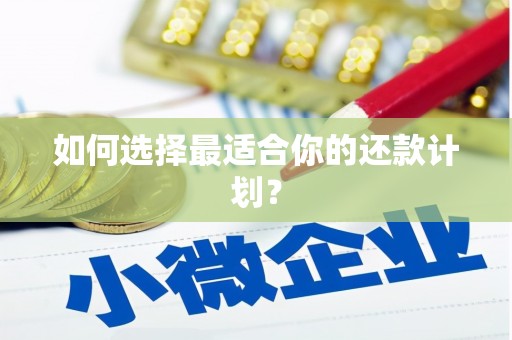 鄂伦春如何选择最适合你的还款计划？