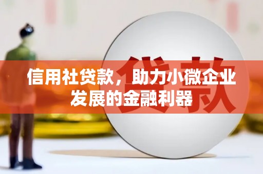 鄂伦春信用社贷款，助力小微企业发展的金融利器