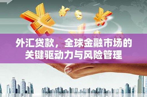 鄂伦春外汇贷款，全球金融市场的关键驱动力与风险管理