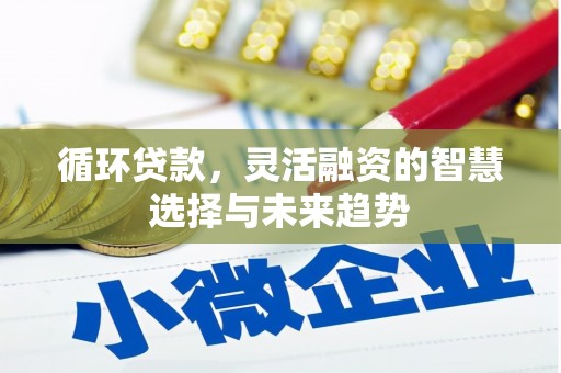 鄂伦春循环贷款，灵活融资的智慧选择与未来趋势