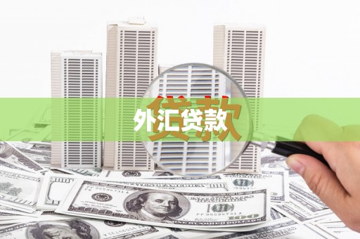 鄂伦春外汇贷款