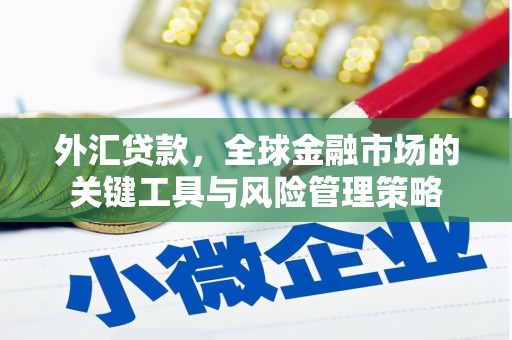 鄂伦春外汇贷款，全球金融市场的关键工具与风险管理策略