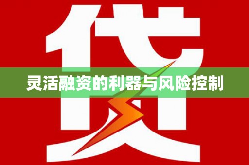 鄂伦春灵活融资的利器与风险控制