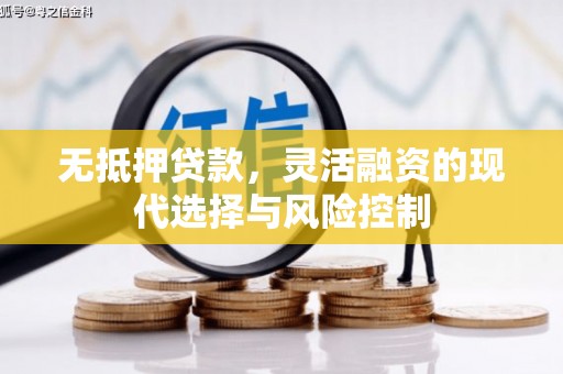 鄂伦春无抵押贷款，灵活融资的现代选择与风险控制