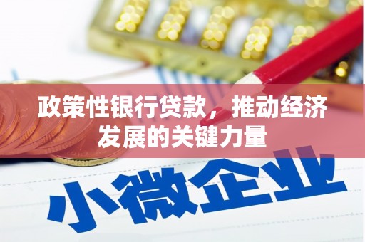 鄂伦春政策性银行贷款，推动经济发展的关键力量