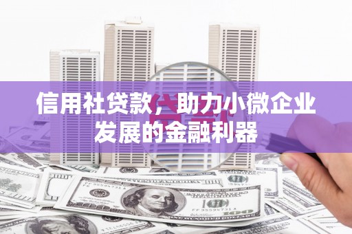 鄂伦春信用社贷款，助力小微企业发展的金融利器