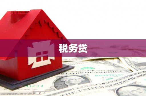 鄂伦春税务贷
