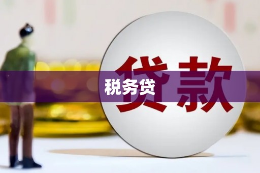 鄂伦春税务贷