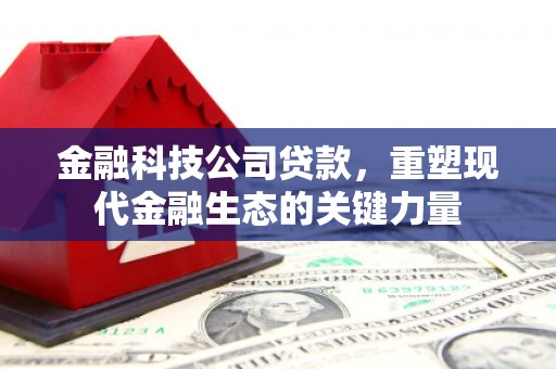 鄂伦春金融科技公司贷款，重塑现代金融生态的关键力量