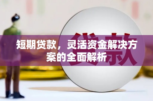 鄂伦春短期贷款，灵活资金解决方案的全面解析