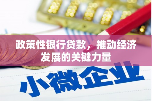 鄂伦春政策性银行贷款，推动经济发展的关键力量