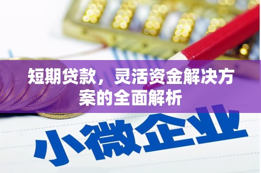 鄂伦春短期贷款，灵活资金解决方案的全面解析