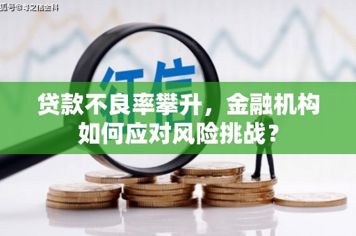 鄂伦春贷款不良率攀升，金融机构如何应对风险挑战？