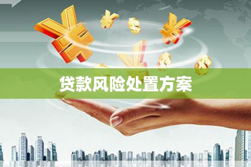 鄂伦春贷款风险处置方案