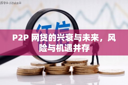 鄂伦春P2P 网贷的兴衰与未来，风险与机遇并存