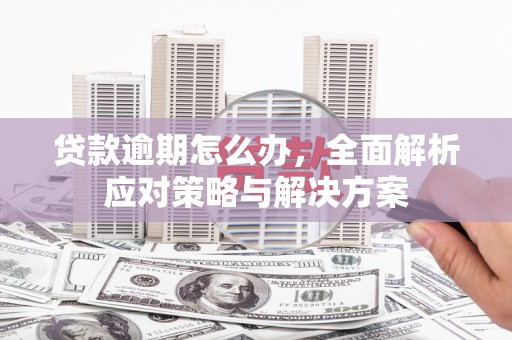 鄂伦春贷款逾期怎么办，全面解析应对策略与解决方案