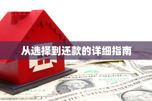 鄂伦春从选择到还款的详细指南
