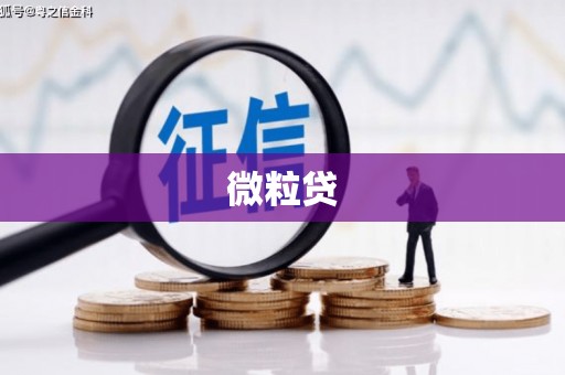 鄂伦春微粒贷