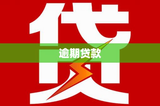 鄂伦春逾期贷款